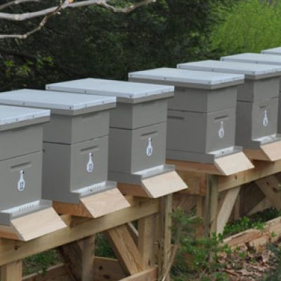 Gingrich Apiaries