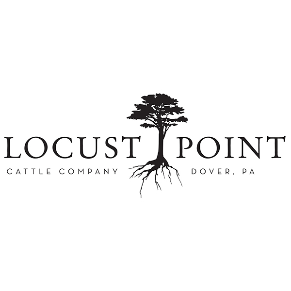 Locust Point Cattle